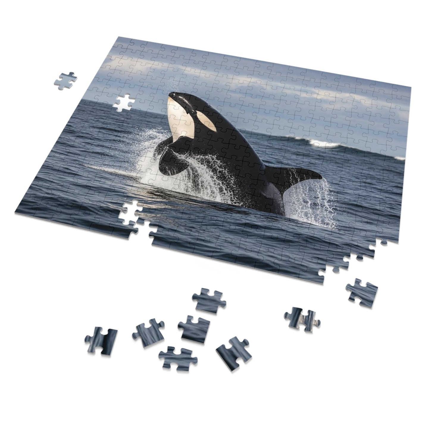 Orca Whale Jigsaw Puzzle — 500-Piece Ocean Puzzle with Tin Gift Box