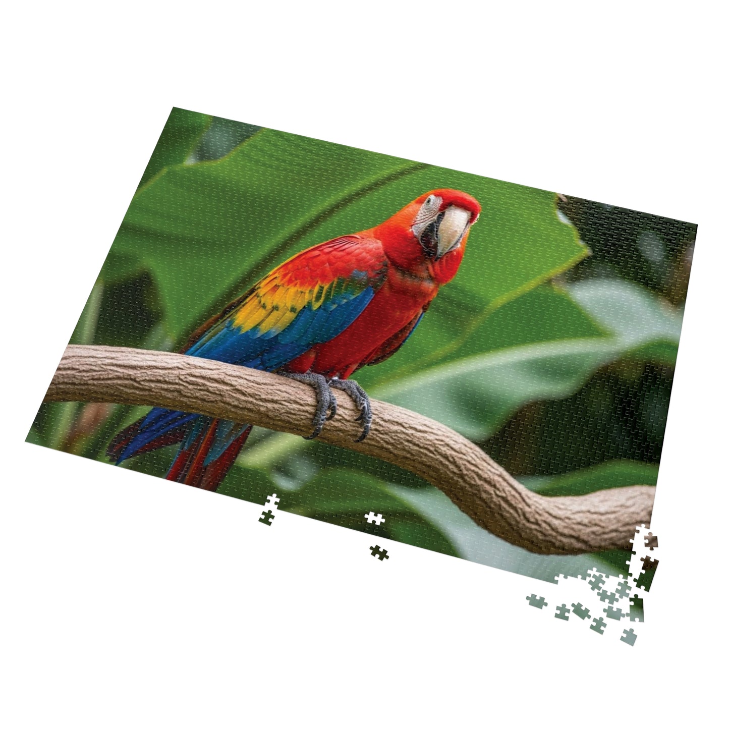 Macaw Parrot Jigsaw Puzzle