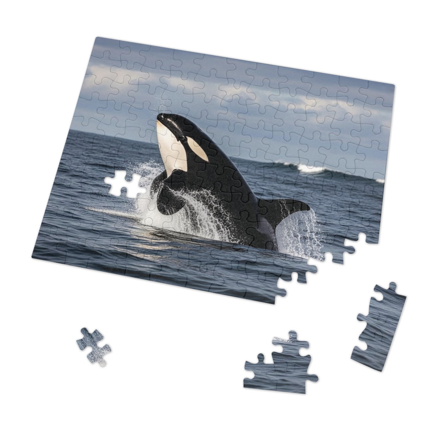 Orca Whale Jigsaw Puzzle — 500-Piece Ocean Puzzle with Tin Gift Box