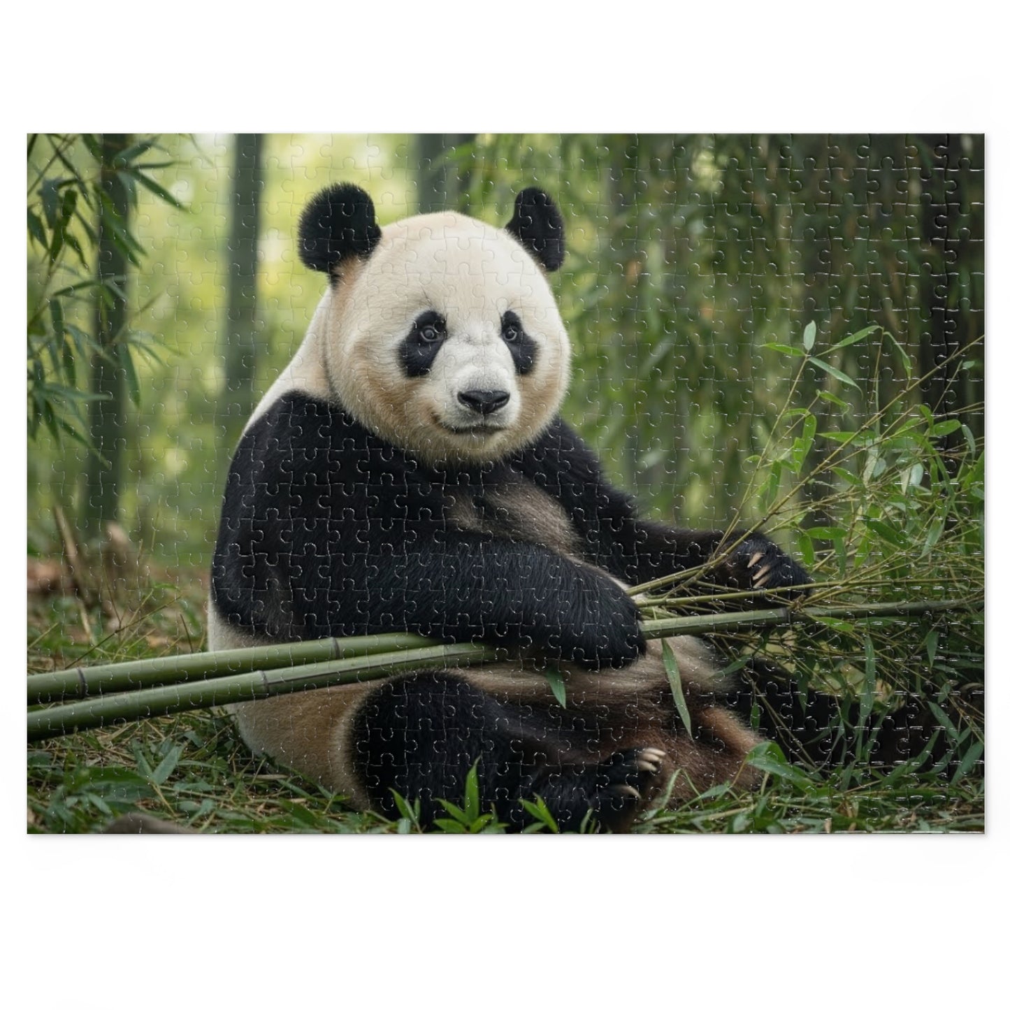 Panda Jigsaw Puzzle