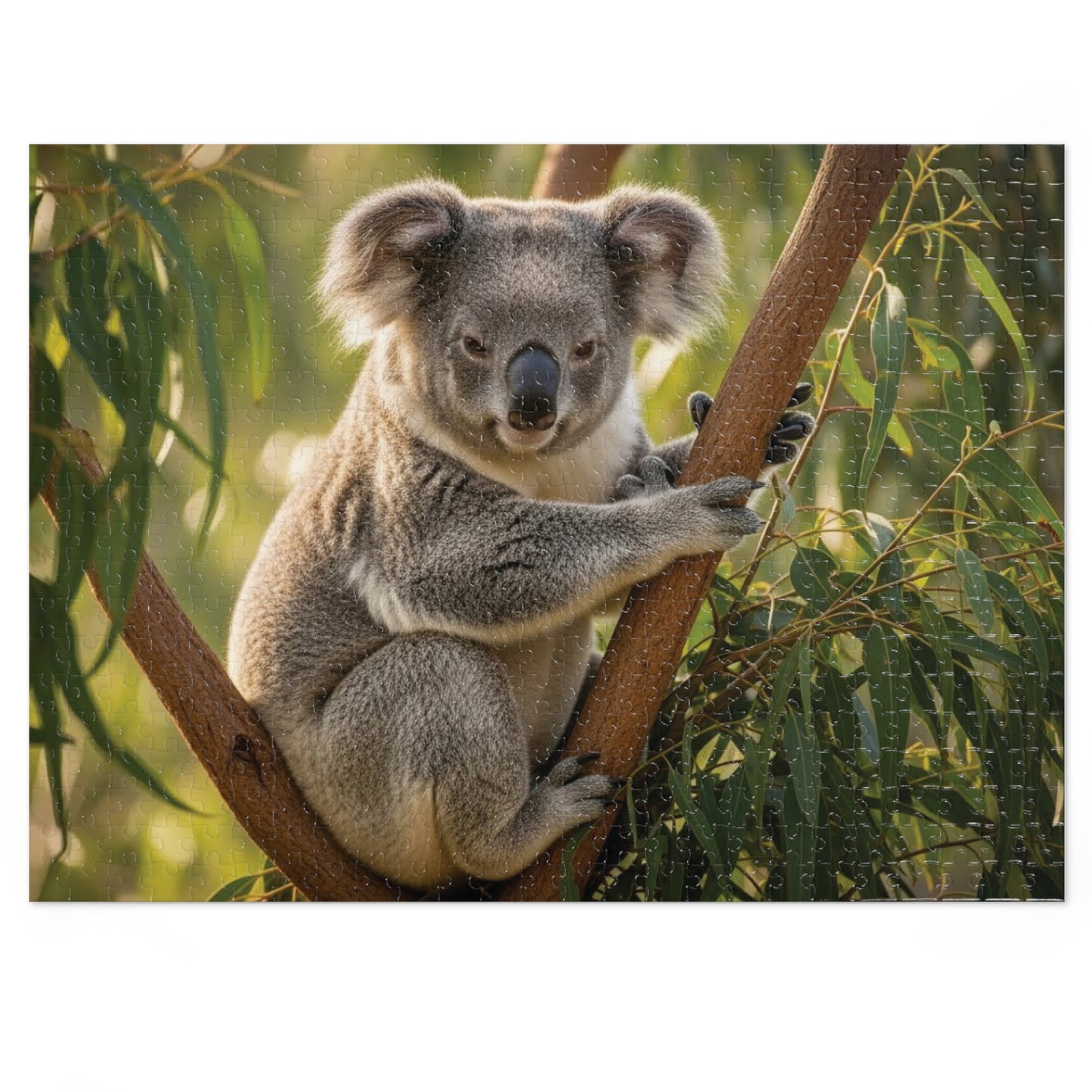 Koala Jigsaw Puzzle