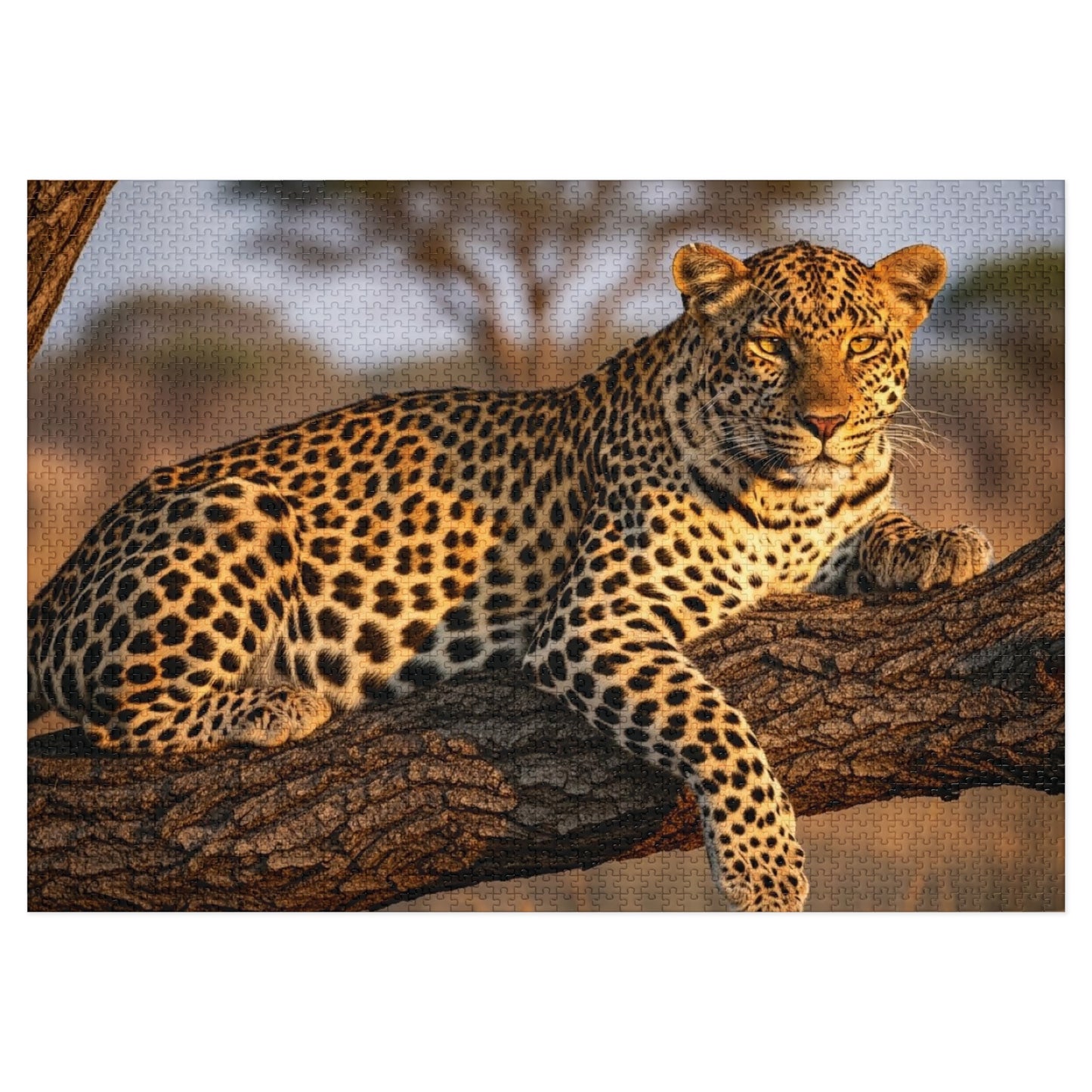 Leopard in Acacia Tree Jigsaw Puzzle