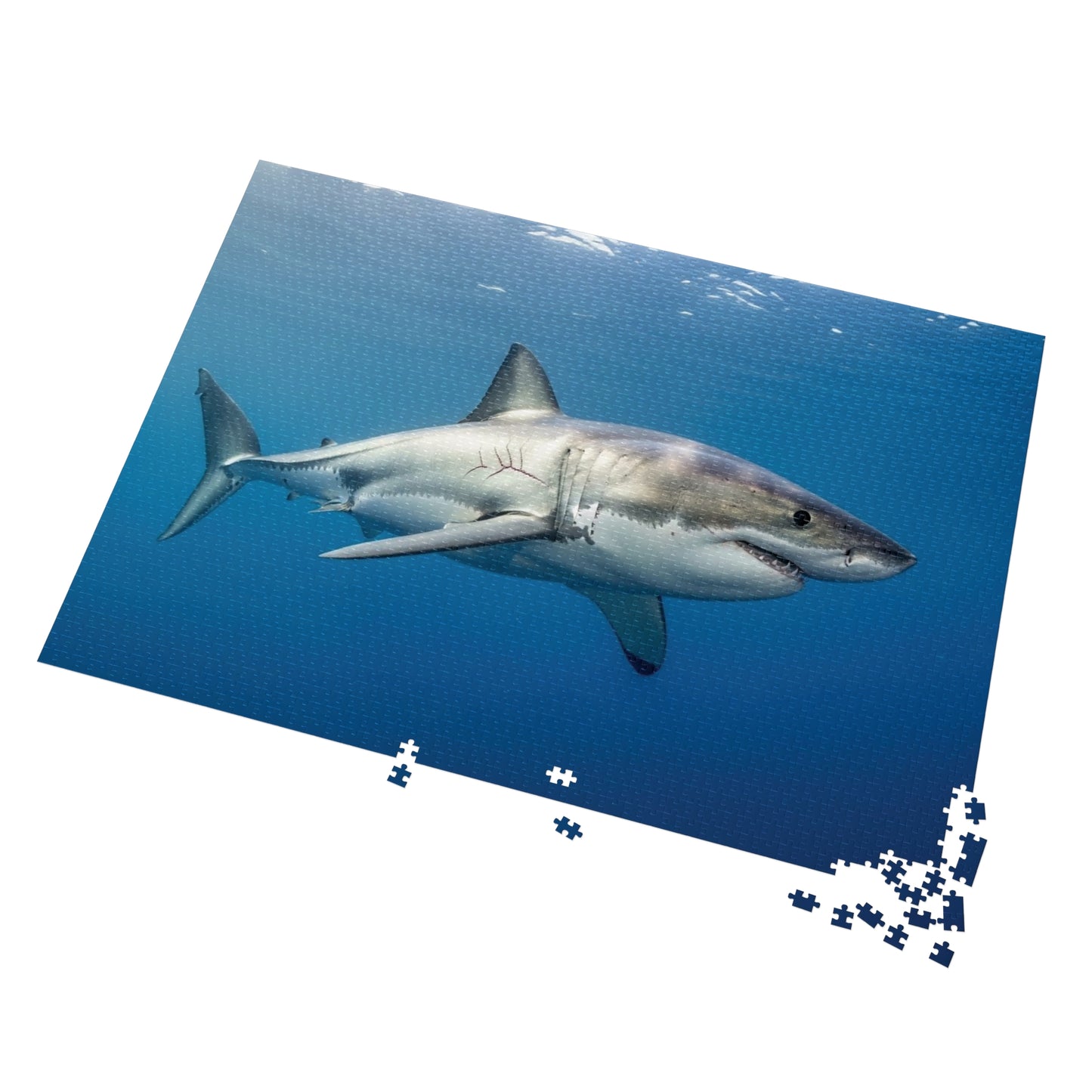 Great White Shark Jigsaw Puzzle — 500-Piece Ocean Puzzle with Tin Gift Box