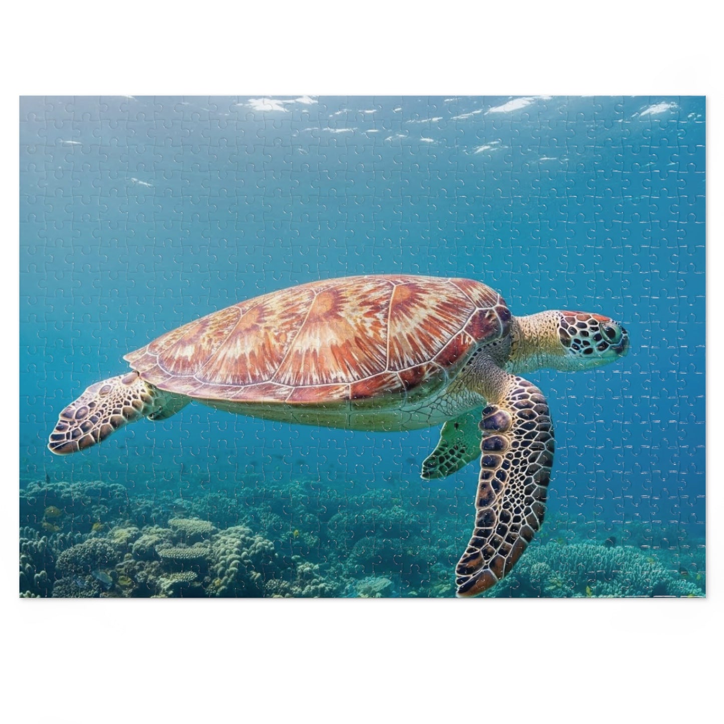 Sea Turtle Jigsaw Puzzle