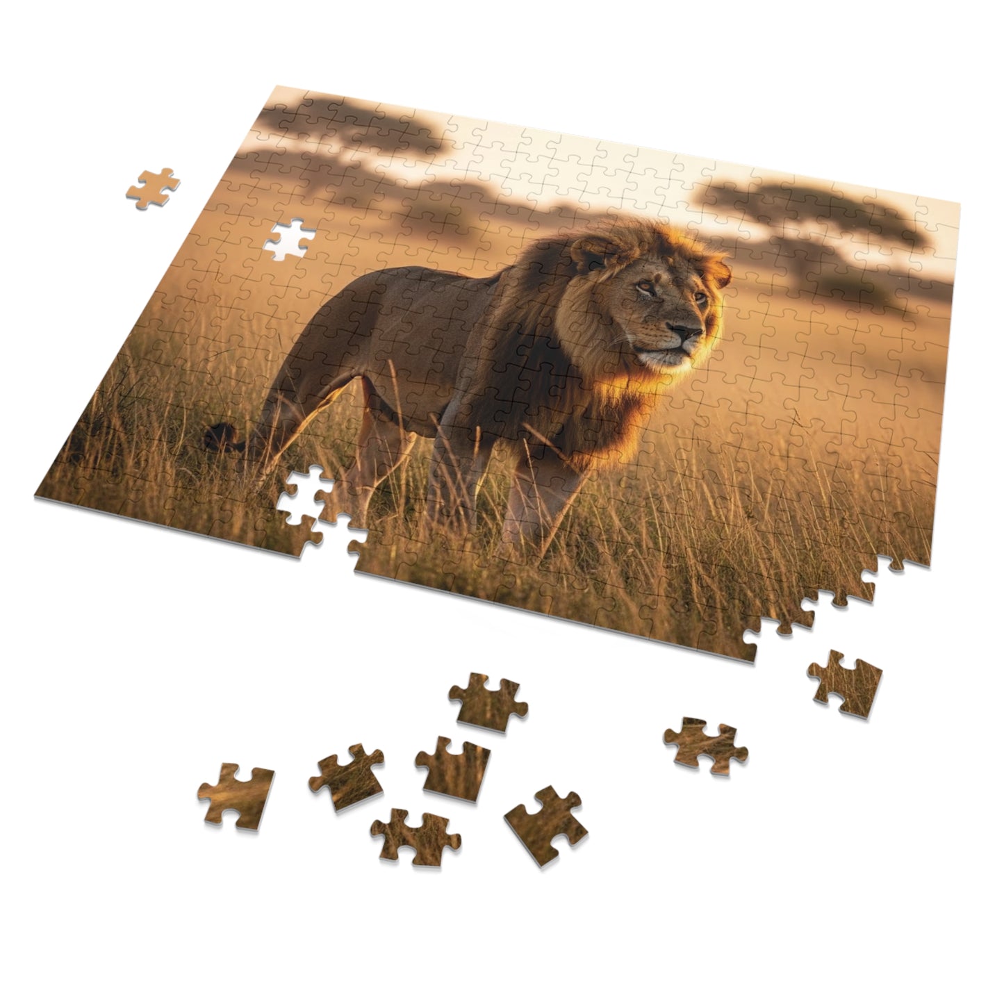 Lion in Golden Savanna Jigsaw Puzzle (with Tin)