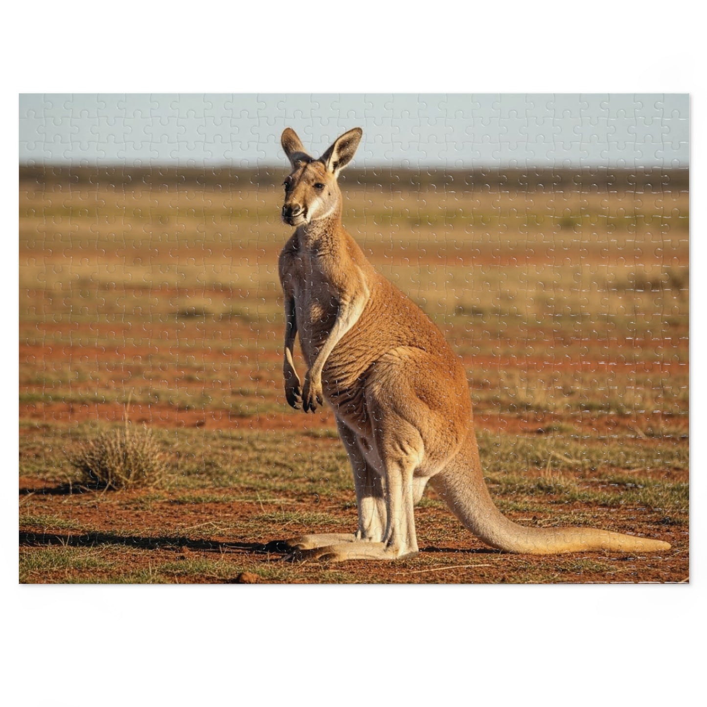 Kangaroo Jigsaw Puzzle