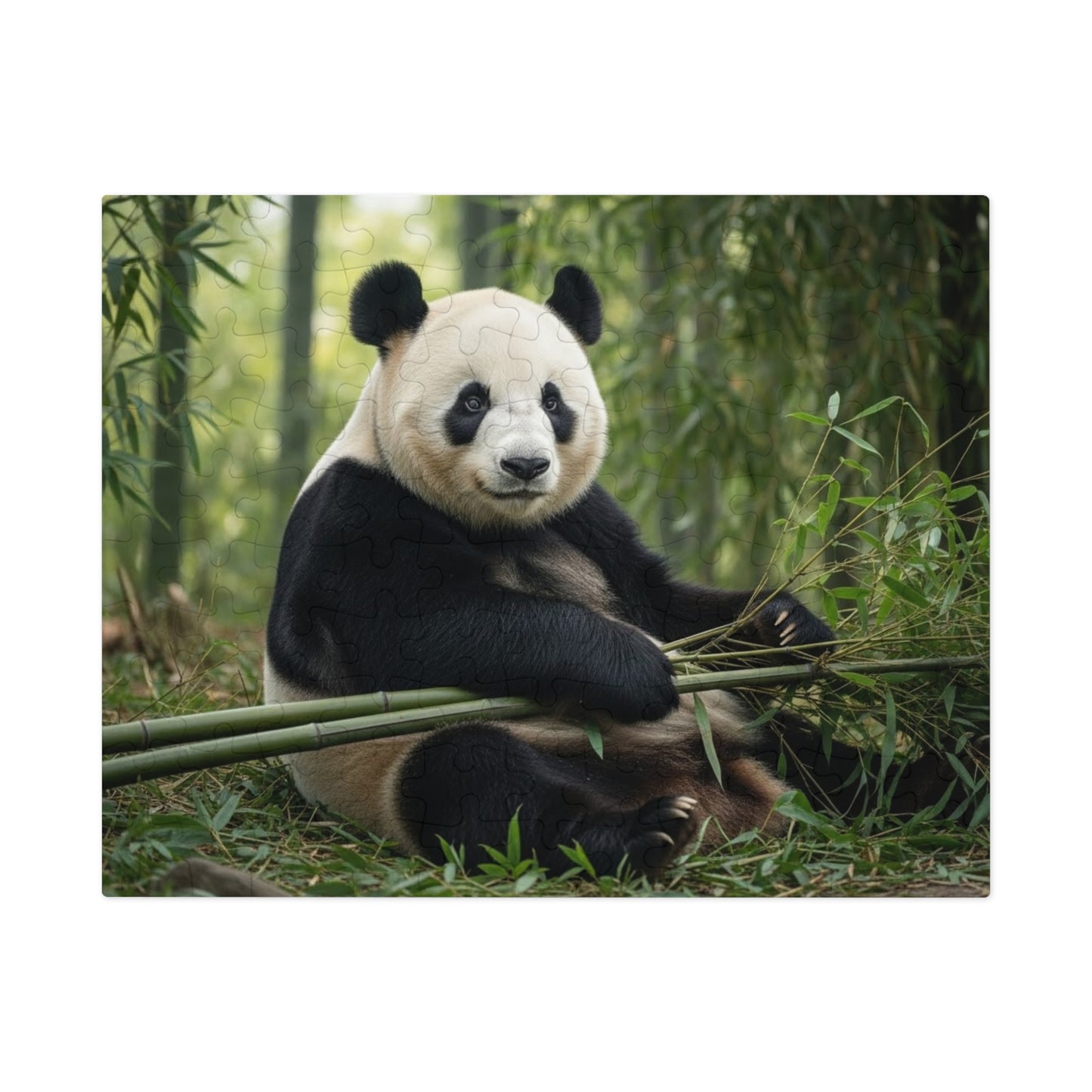 Panda Jigsaw Puzzle