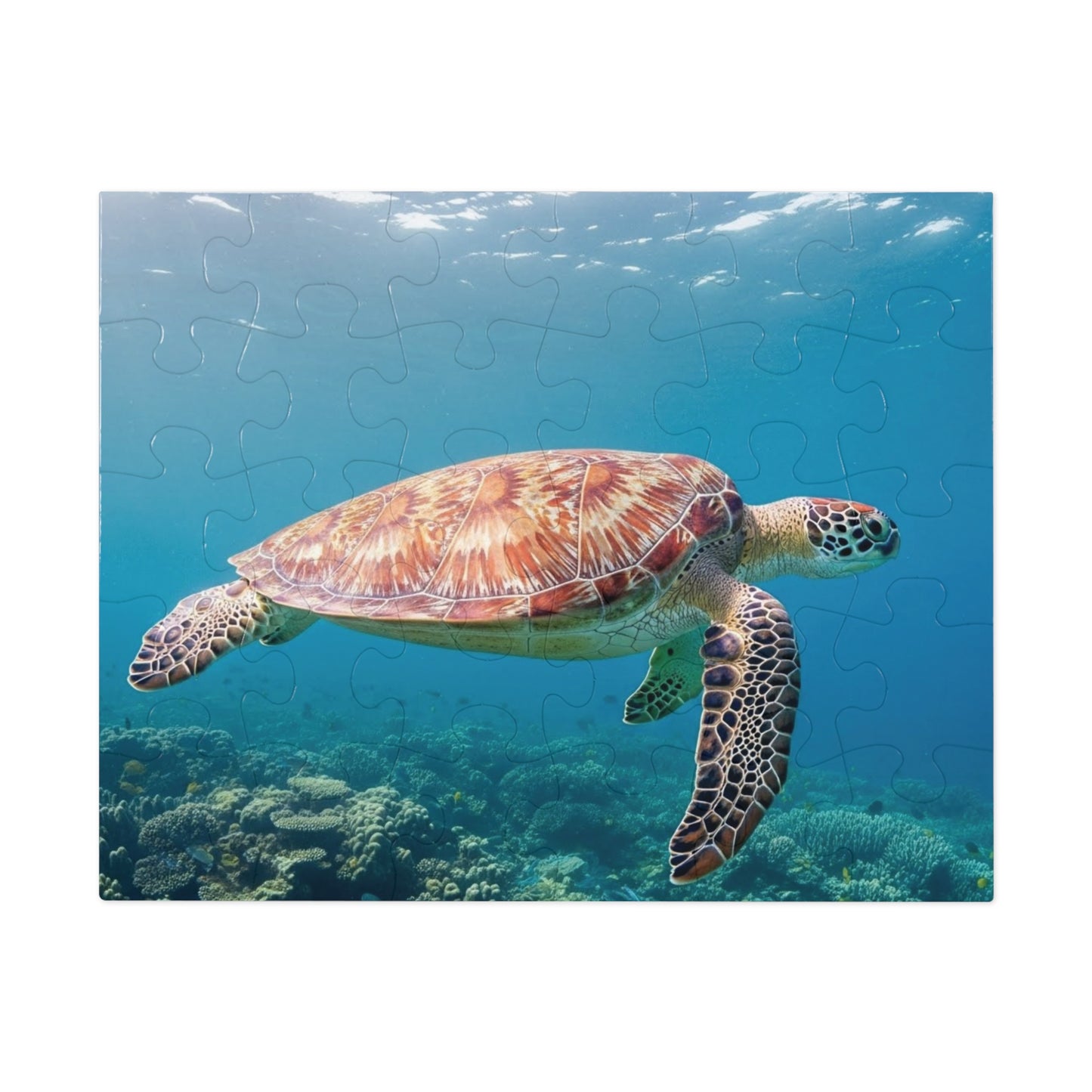 Sea Turtle Jigsaw Puzzle