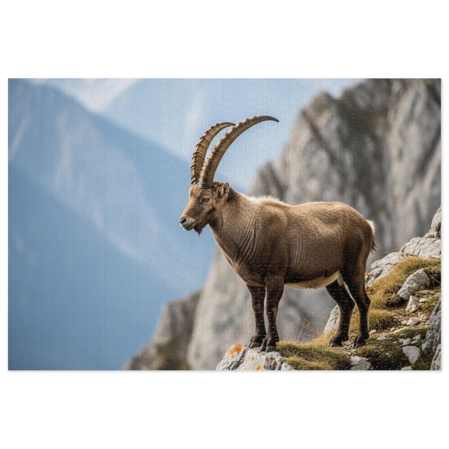 Alpine Ibex Scenic Jigsaw Puzzle (with Tin)