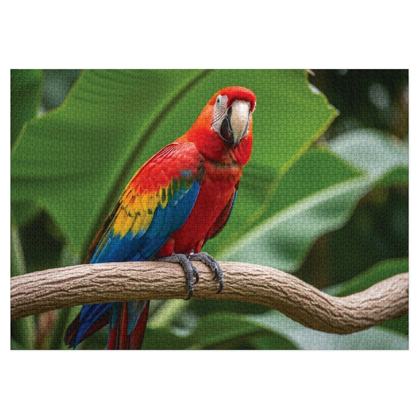 Macaw Parrot Jigsaw Puzzle