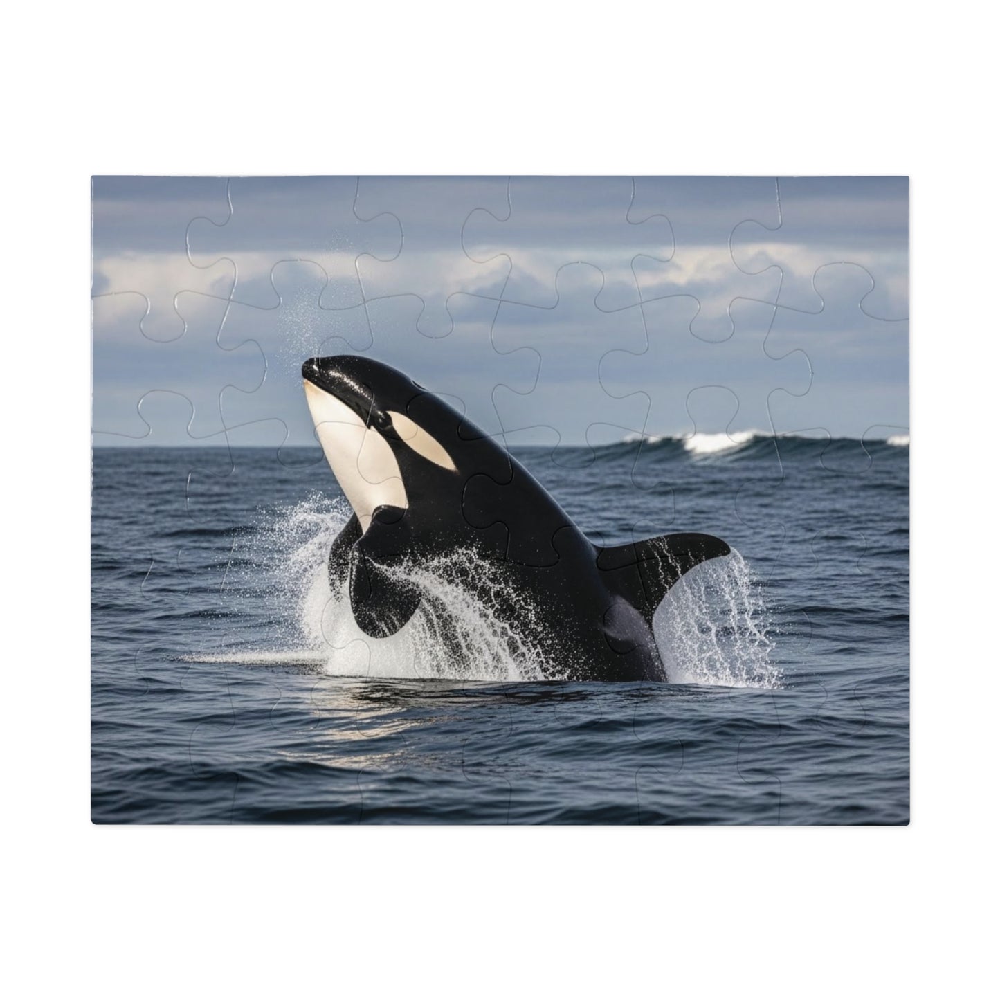 Orca Whale Jigsaw Puzzle — 500-Piece Ocean Puzzle with Tin Gift Box