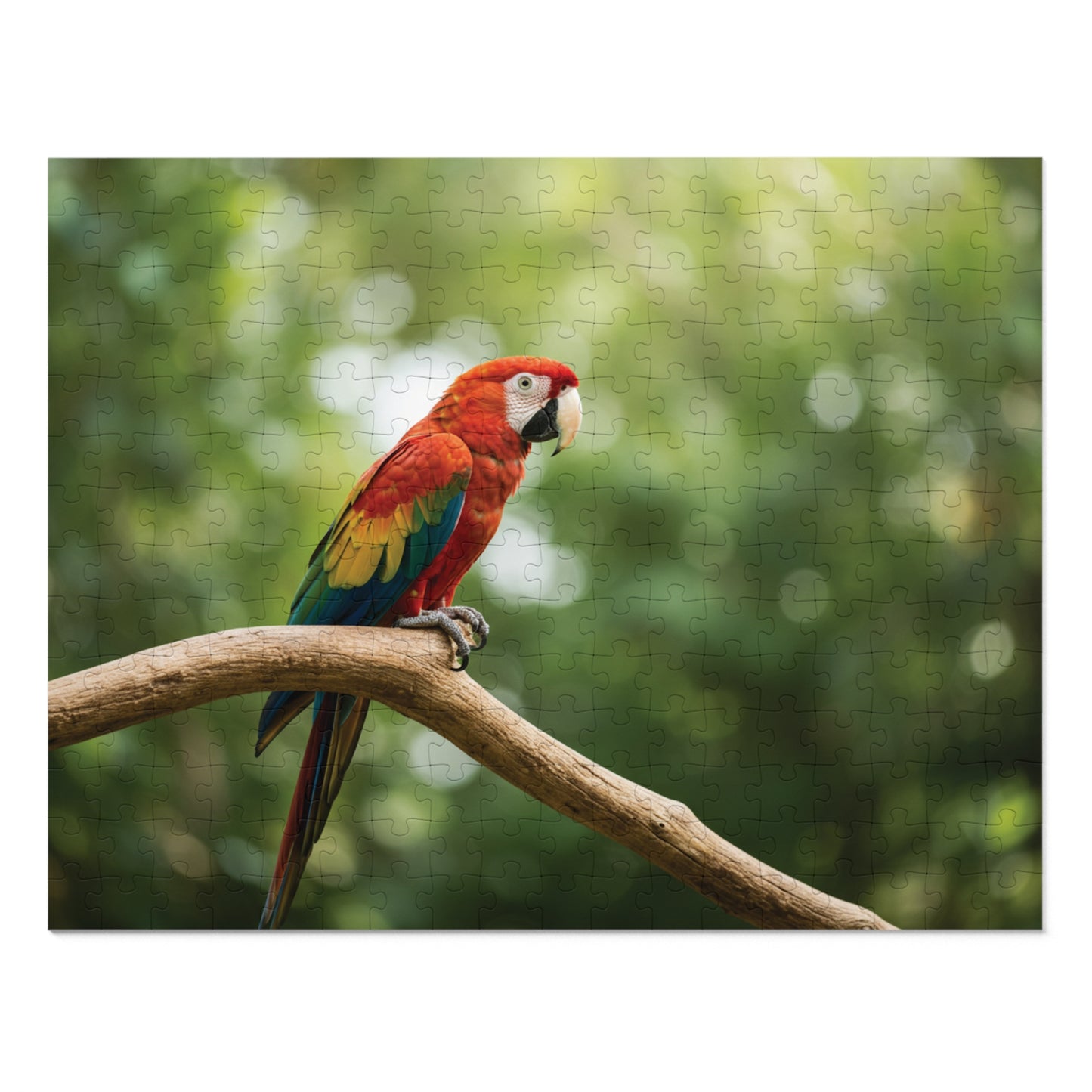30, 110, 252, 500 pcs Vibrant Parrot on Tree Branch Jigsaw Puzzle, Exotic Bird Jigsaw, Tropical Parrot Puzzle, Rainforest Bird Jigsaw Puzzle, Wildlife Parrot Puzzle