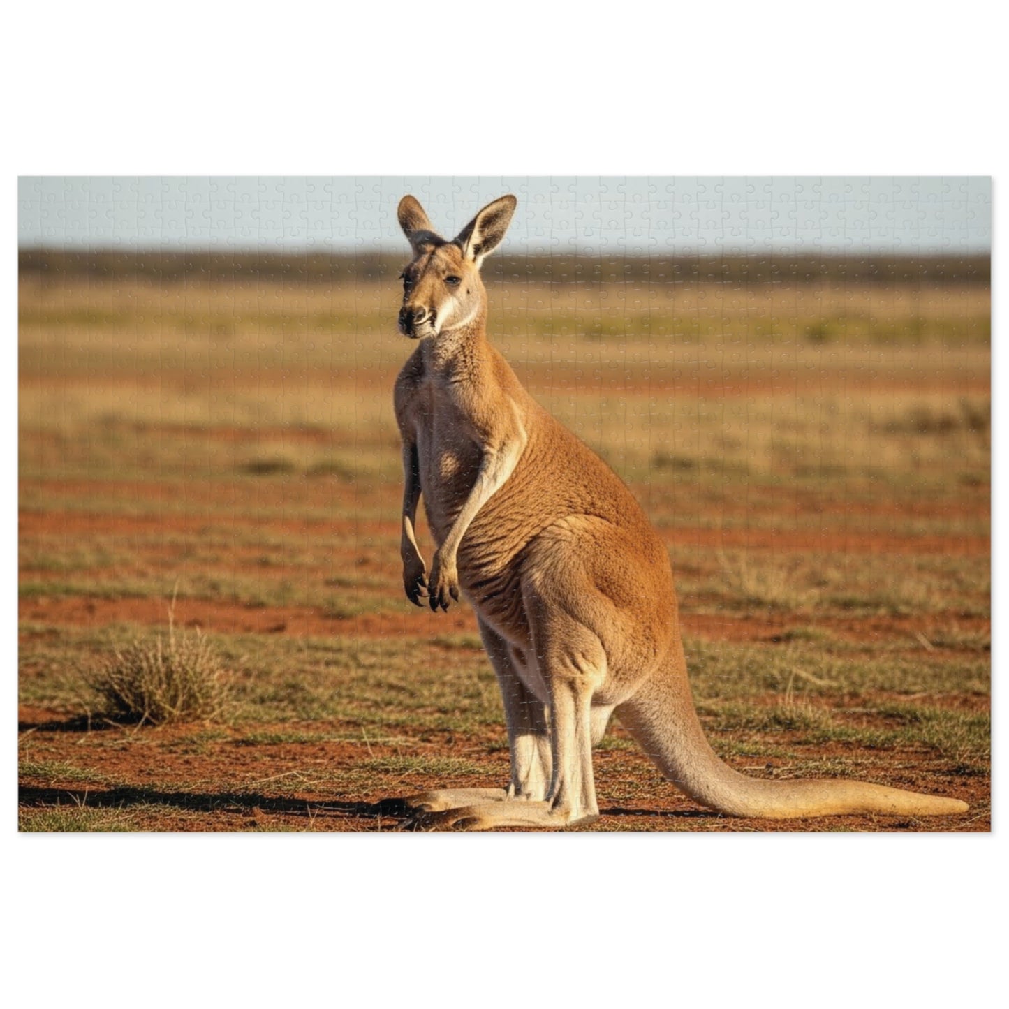 Kangaroo Jigsaw Puzzle
