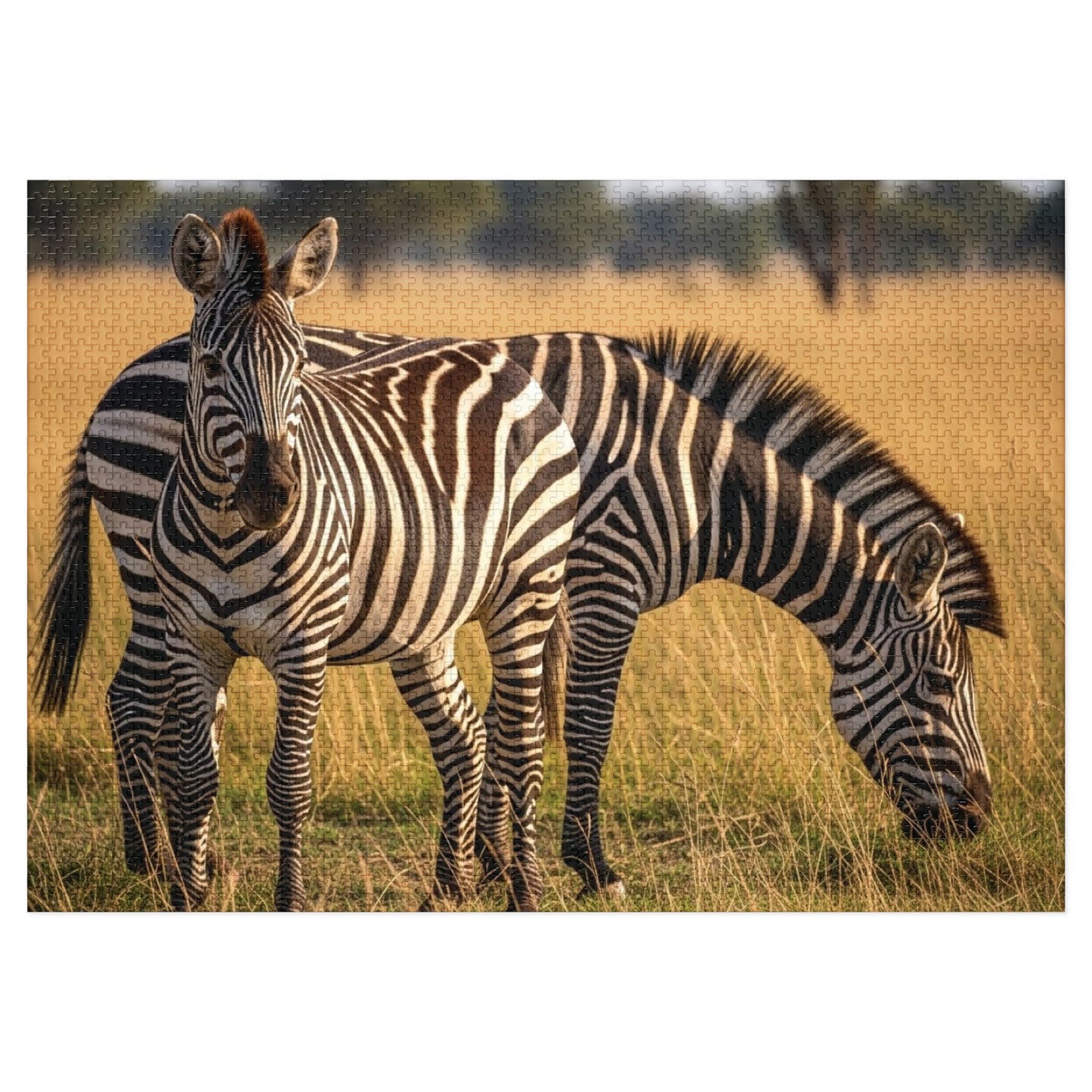 Zebra Savannah Jigsaw Puzzle African Wildlife Nature Grassland Art