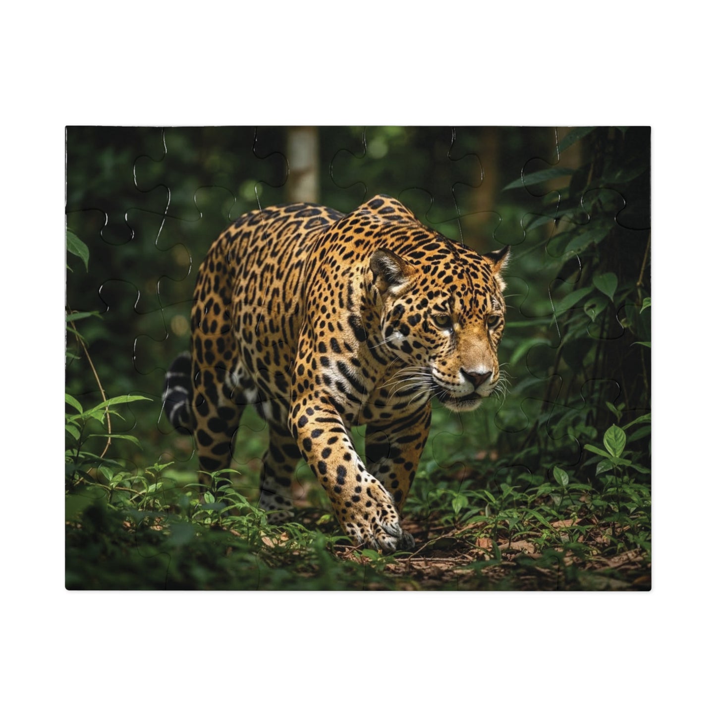 Jaguar in the Jungle Jigsaw Puzzle