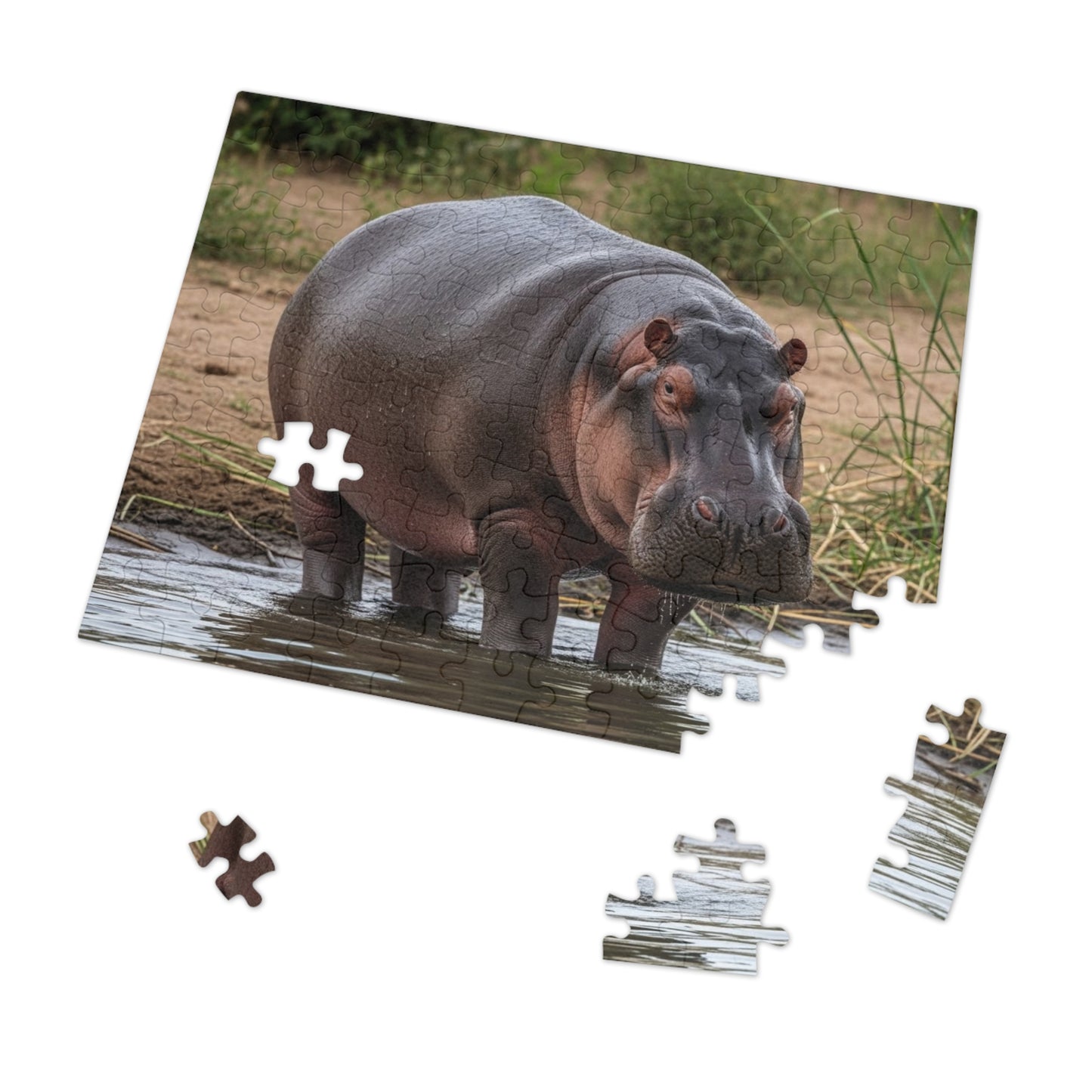 Hippopotamus Jigsaw Puzzle