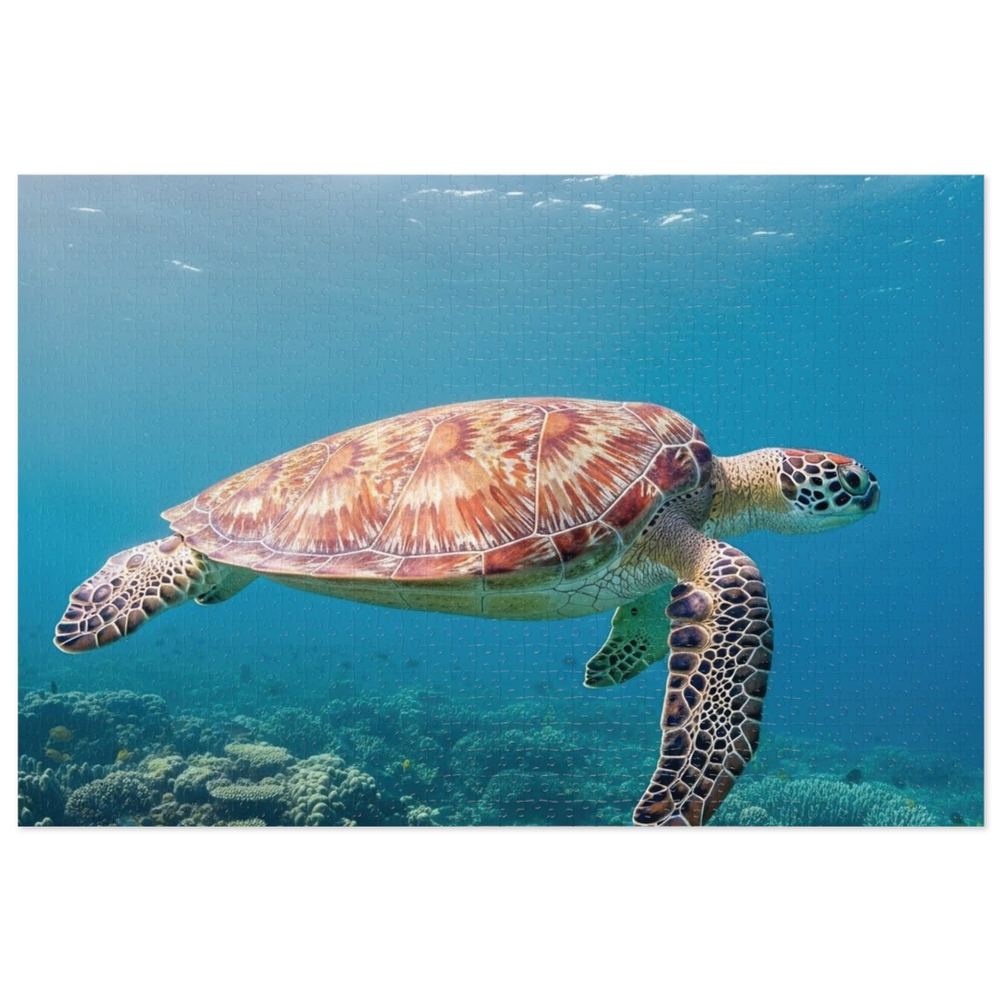Sea Turtle Jigsaw Puzzle