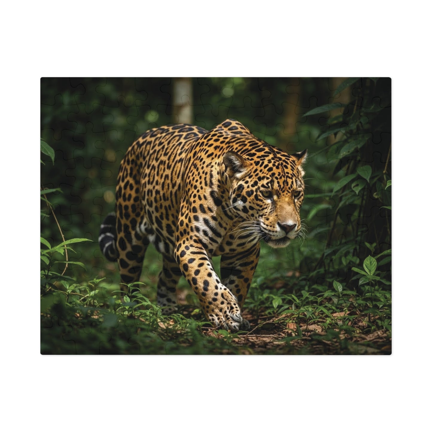 Jaguar in the Jungle Jigsaw Puzzle