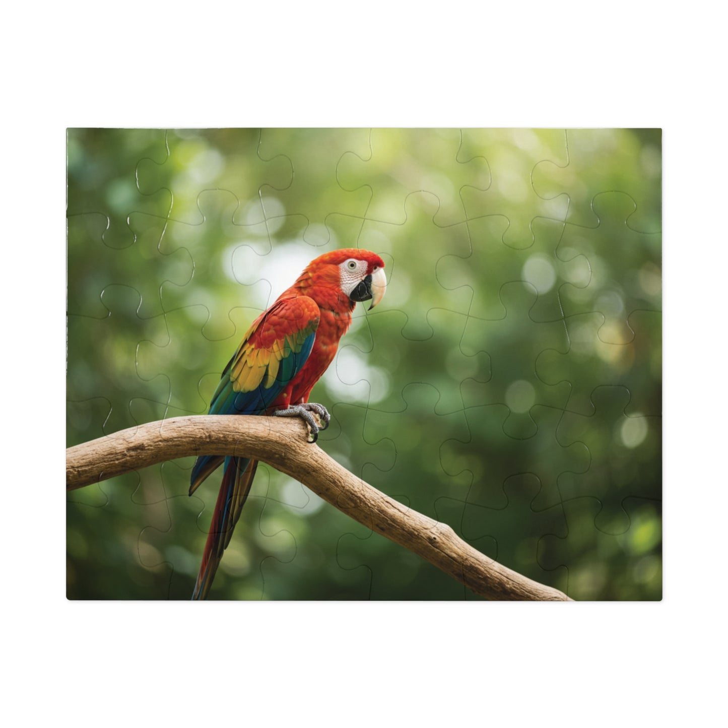 30, 110, 252, 500 pcs Vibrant Parrot on Tree Branch Jigsaw Puzzle, Exotic Bird Jigsaw, Tropical Parrot Puzzle, Rainforest Bird Jigsaw Puzzle, Wildlife Parrot Puzzle
