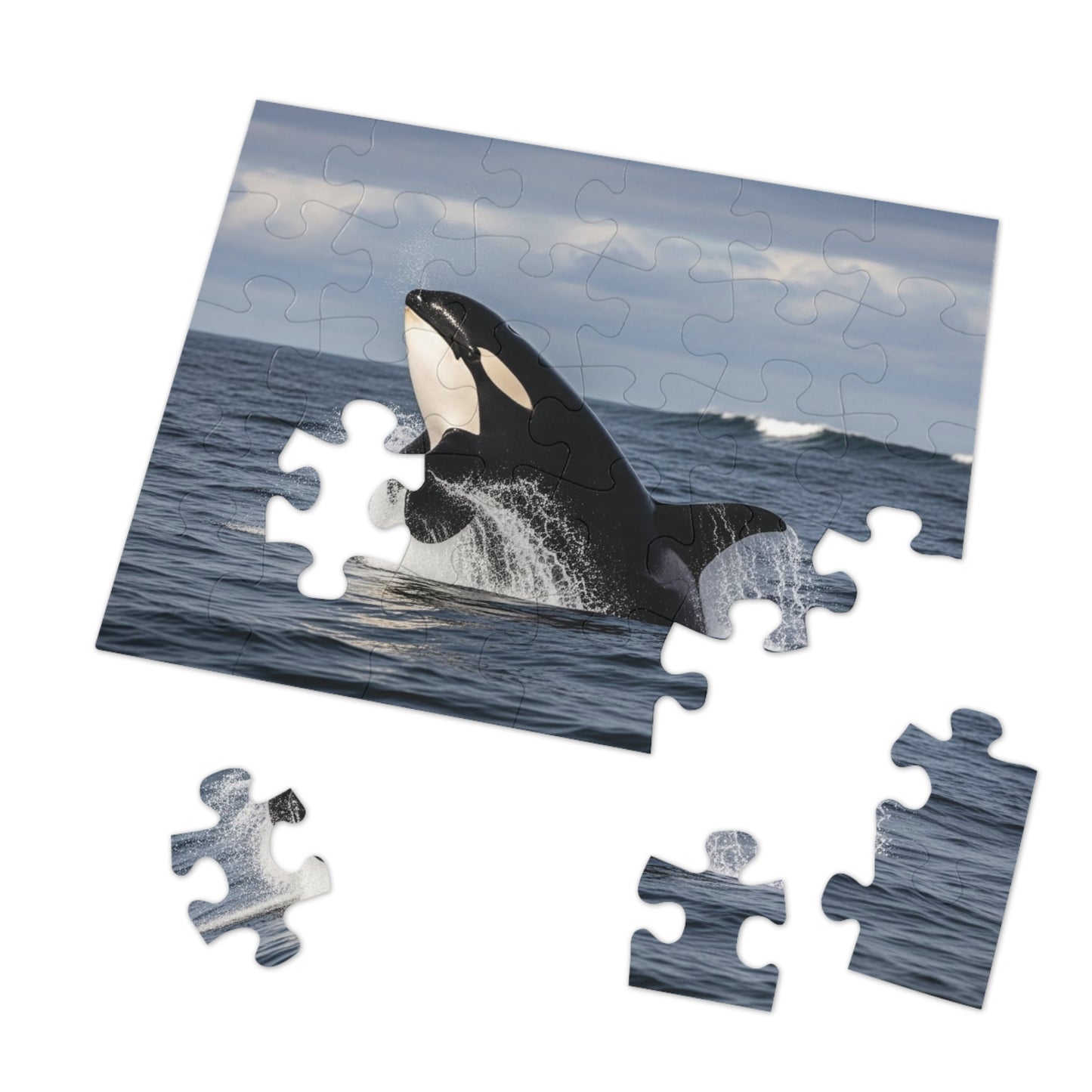 Orca Whale Jigsaw Puzzle — 500-Piece Ocean Puzzle with Tin Gift Box