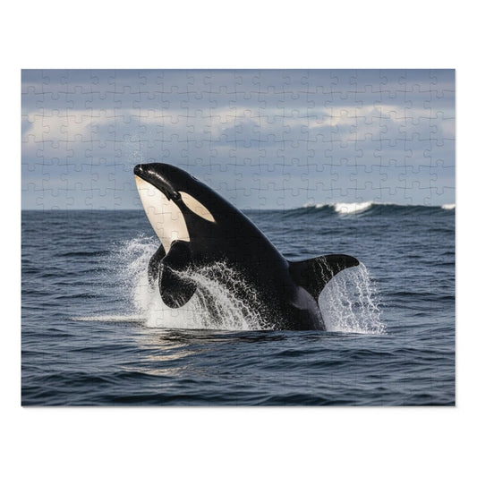 Orca Whale Jigsaw Puzzle — 500-Piece Ocean Puzzle with Tin Gift Box