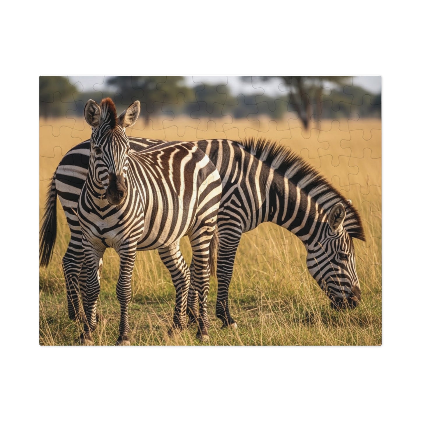 Zebra Savannah Jigsaw Puzzle African Wildlife Nature Grassland Art