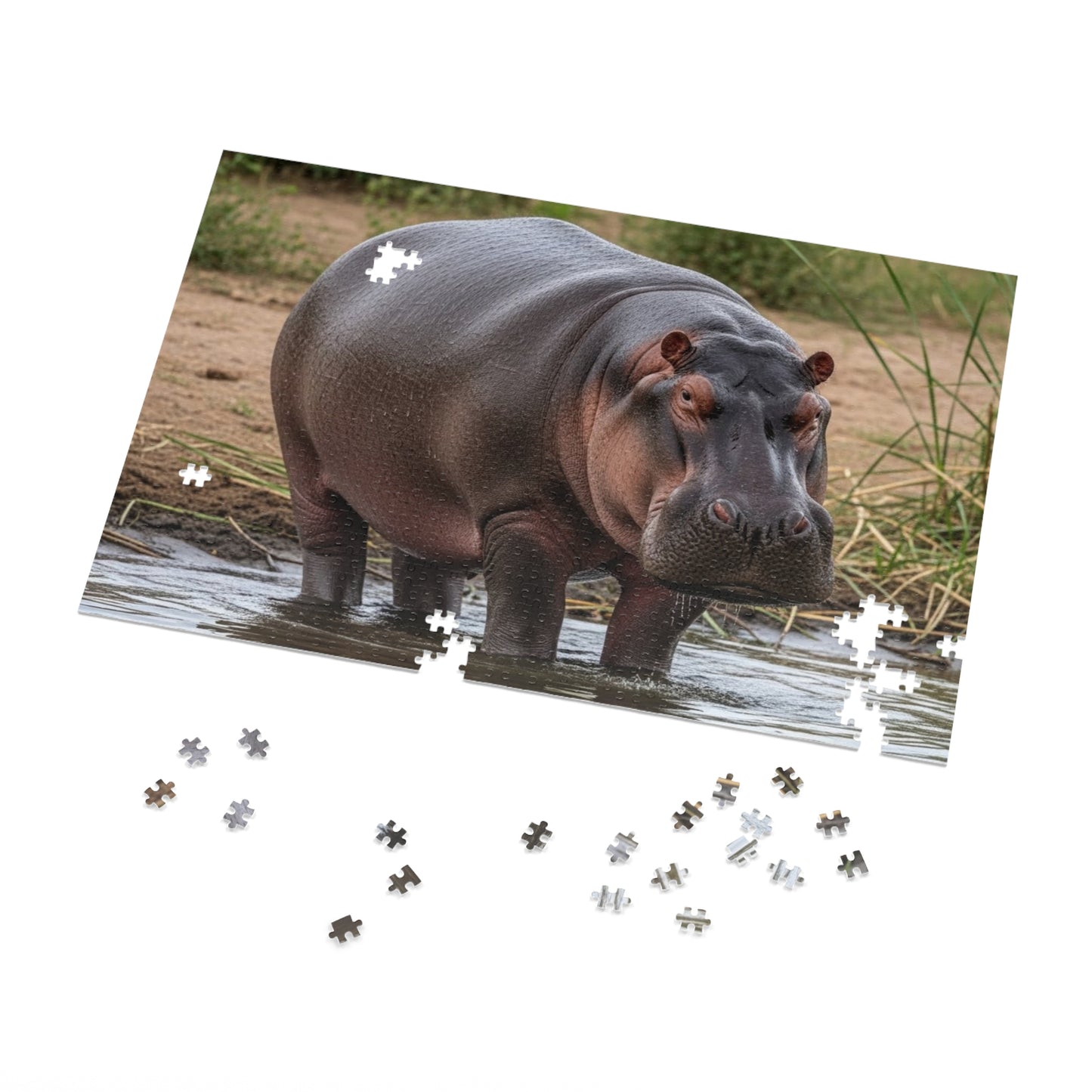 Hippopotamus Jigsaw Puzzle