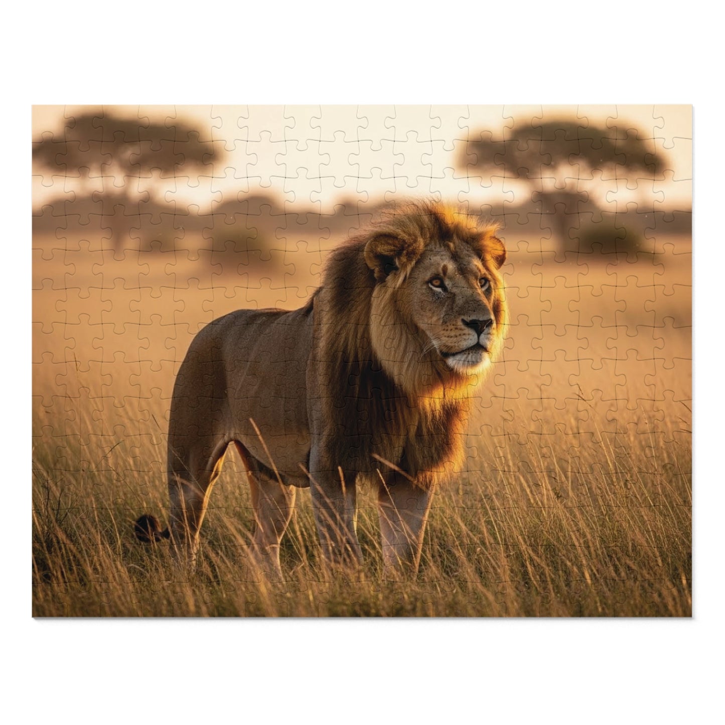 Lion in Golden Savanna Jigsaw Puzzle (with Tin)
