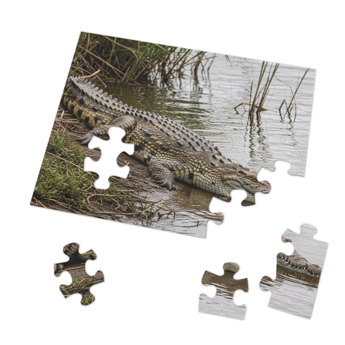 Crocodile Wildlife Jigsaw Puzzle